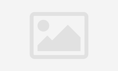 Strategic sales budgeting: designing an impactful  commercial plan